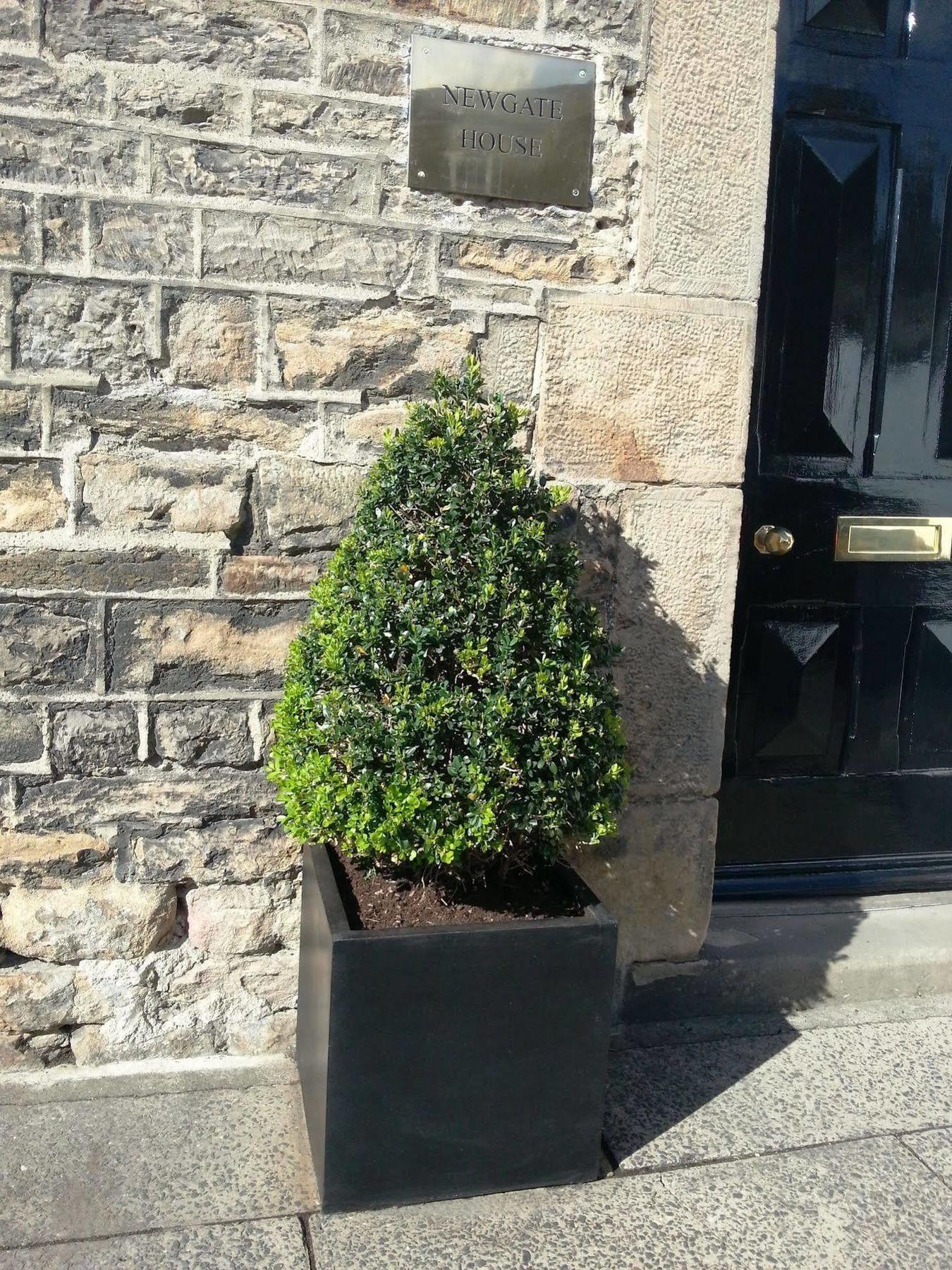 Newgate House Bed & Breakfast Barnard Castle Exterior foto
